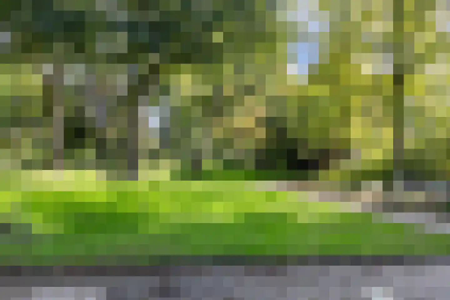 Zandkreek 20 Rotterdam thumbnail 31
