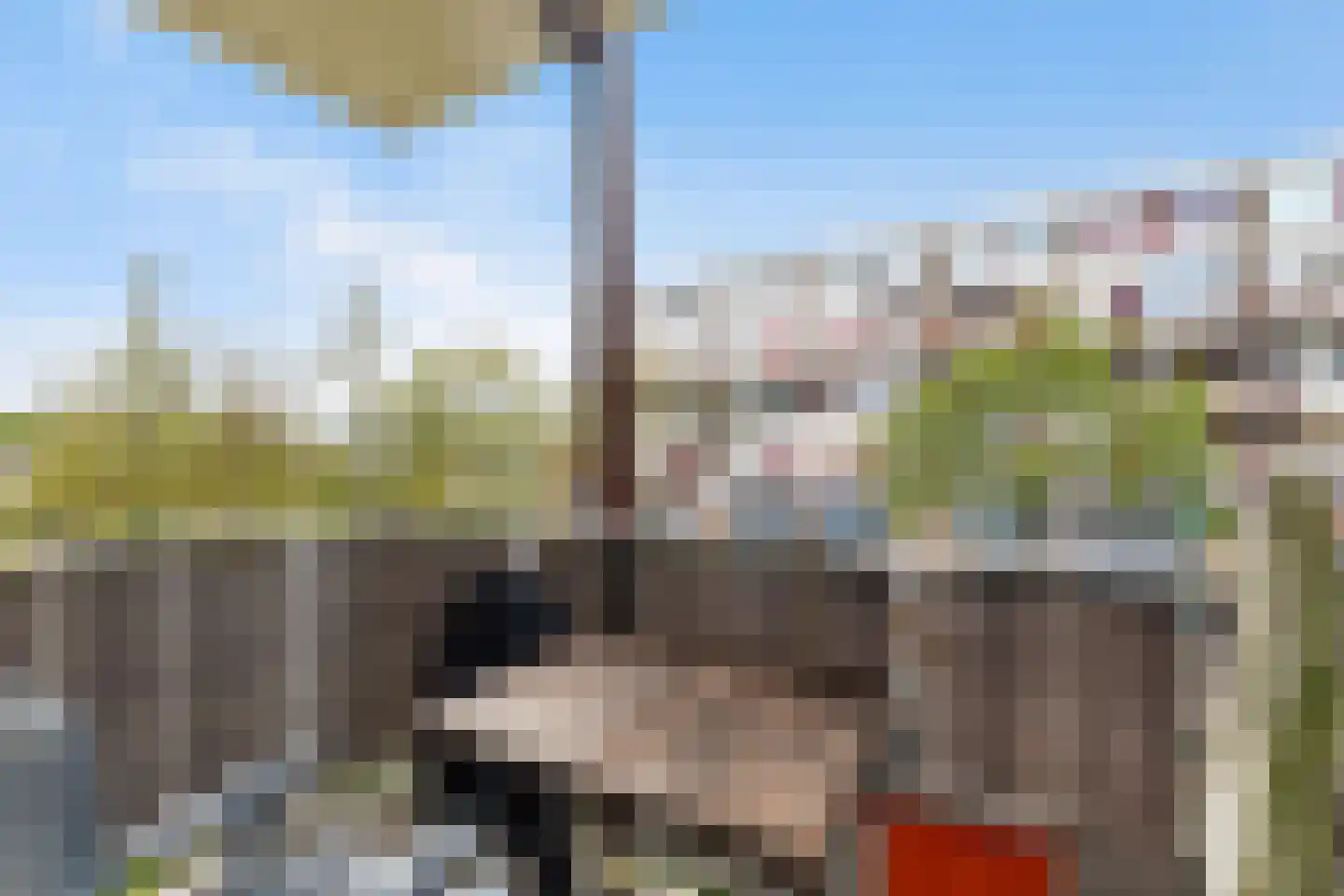 Zandkreek 20 Rotterdam thumbnail 5