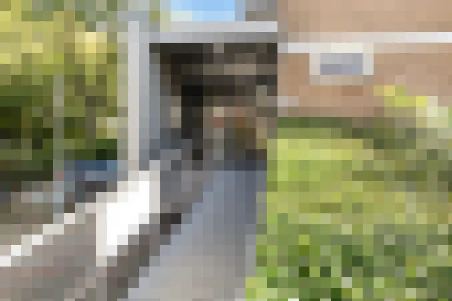 Zandkreek 20 Rotterdam thumbnail 9