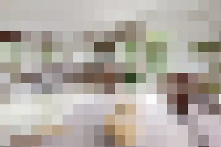 Zandkreek 20 Willemstad thumbnail 12