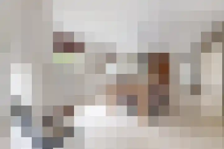 Zandkreek 20 Willemstad thumbnail 18