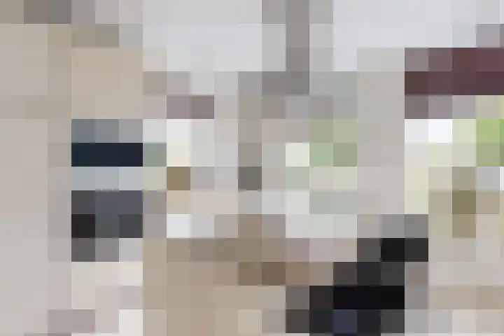 Zandkreek 20 Willemstad thumbnail 26