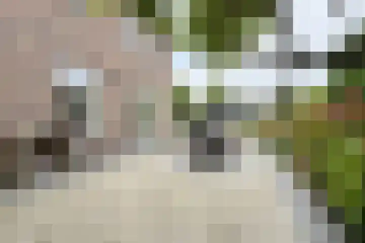 Zandkreek 20 Willemstad thumbnail 69