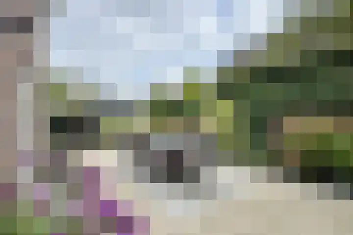 Zandkreek 20 Willemstad thumbnail 70