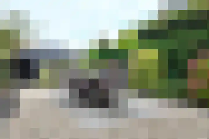 Zandkreek 20 Willemstad thumbnail 71