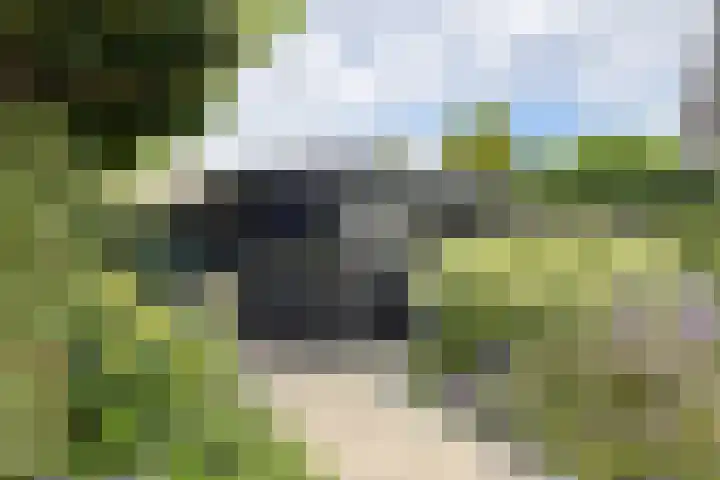 Zandkreek 20 Willemstad thumbnail 72