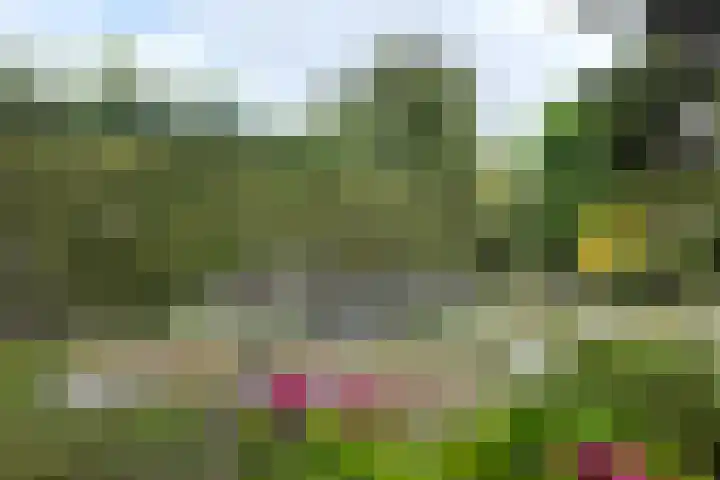 Zandkreek 20 Willemstad thumbnail 73