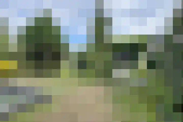 Zandkreek 20 Willemstad thumbnail 74