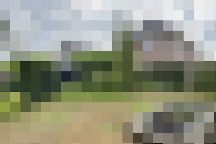 Zandkreek 20 Willemstad thumbnail 75