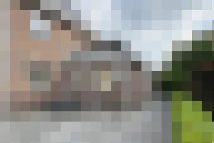 Zandkreek 20 Willemstad thumbnail 78