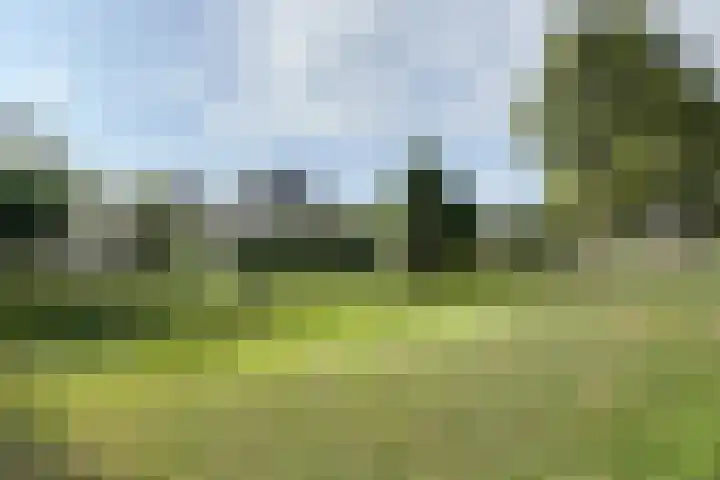 Zandkreek 20 Willemstad thumbnail 80