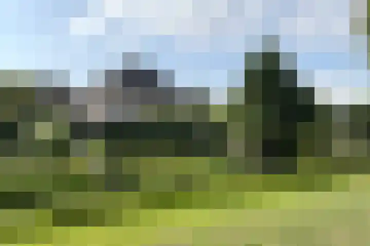 Zandkreek 20 Willemstad thumbnail 81
