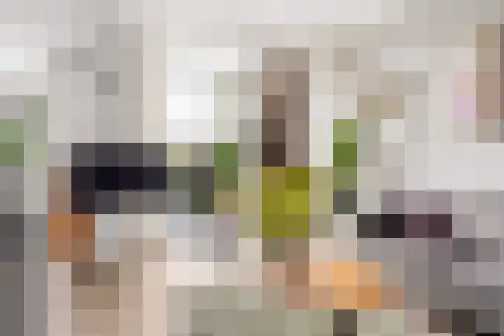 Zandkreek 30 Zwolle thumbnail 11