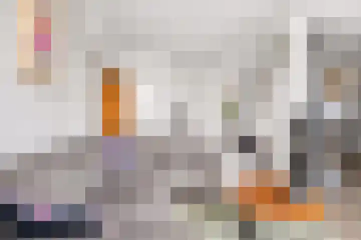Zandkreek 30 Zwolle thumbnail 13