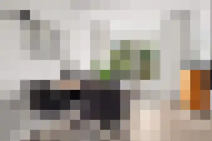 Zandkreek 30 Zwolle thumbnail 14