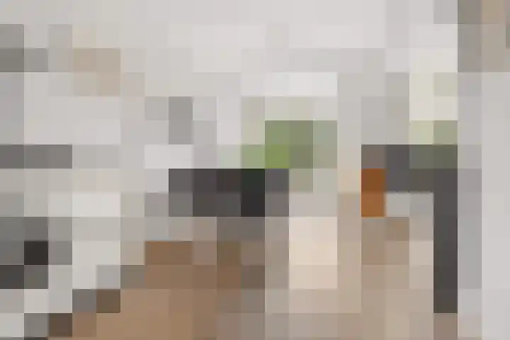 Zandkreek 30 Zwolle thumbnail 15