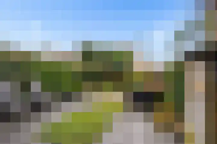Zandkreek 30 Zwolle thumbnail 31