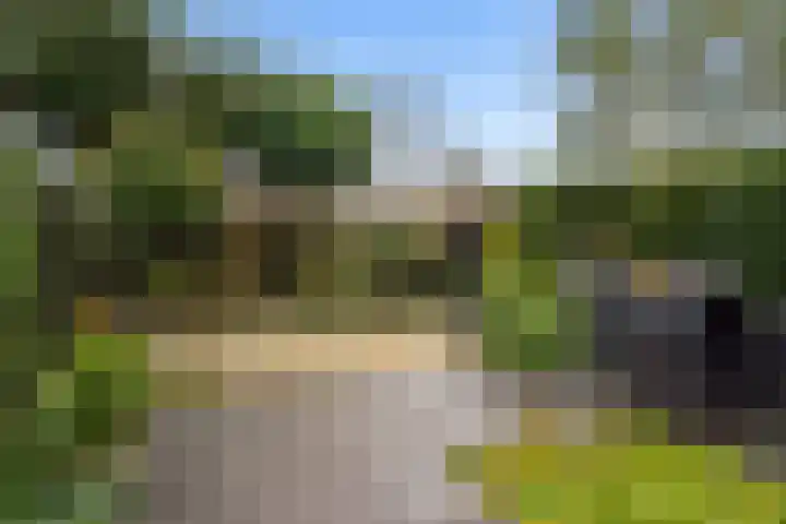 Zandkreek 30 Zwolle thumbnail 32