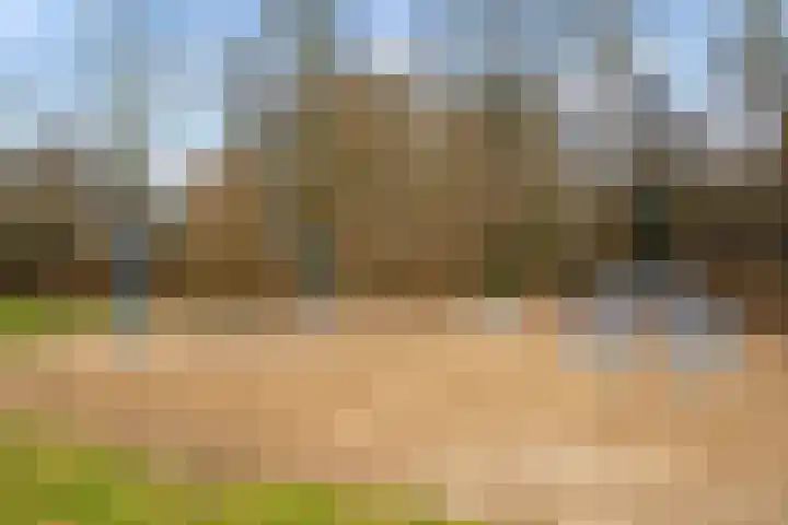 Zandkreek 30 Zwolle thumbnail 35