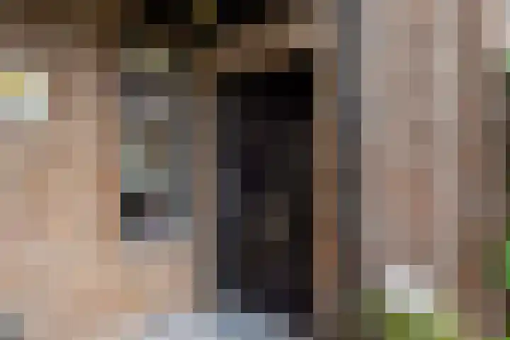 Zandkreek 30 Zwolle thumbnail 4
