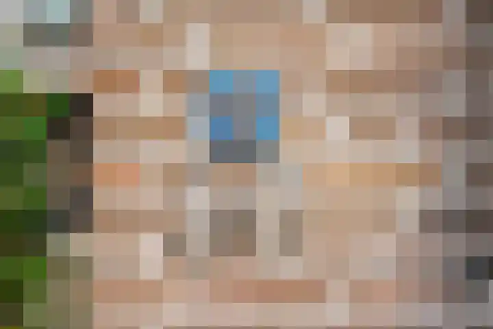 Zandkreek 30 Zwolle thumbnail 5