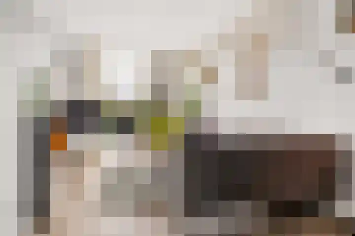 Zandkreek 30 Zwolle thumbnail 9