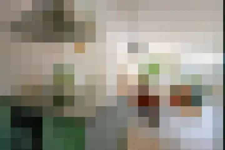 Zandkreek 41 Alkmaar thumbnail 14