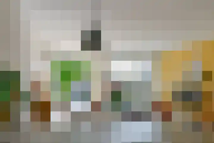 Zandkreek 41 Alkmaar thumbnail 15