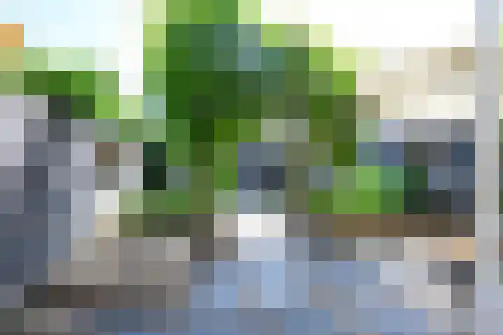 Zandkreek 41 Alkmaar thumbnail 16