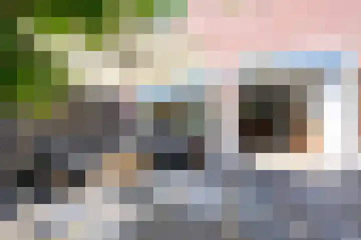 Zandkreek 41 Alkmaar thumbnail 17