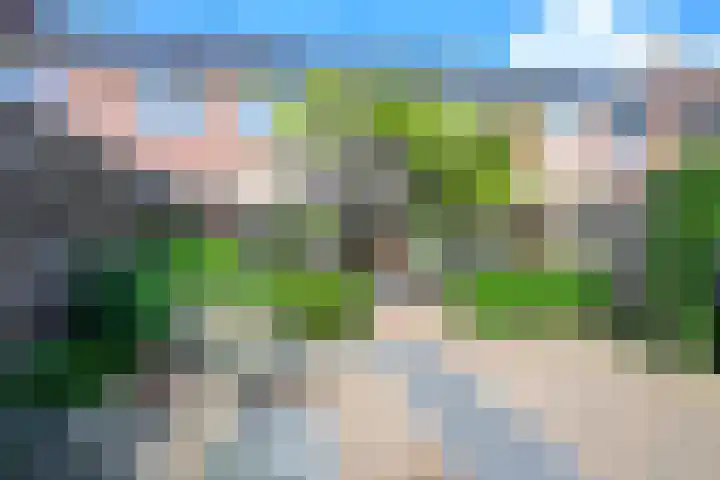 Zandkreek 41 Alkmaar thumbnail 19