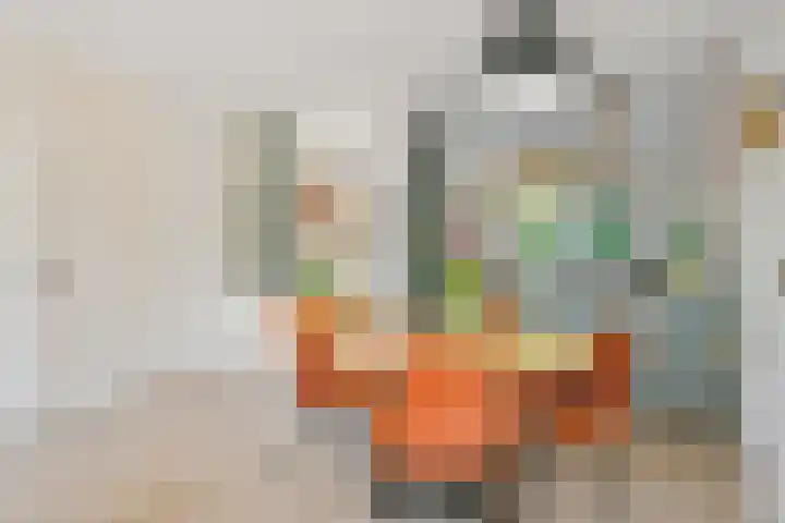 Zandkreek 41 Alkmaar thumbnail 20