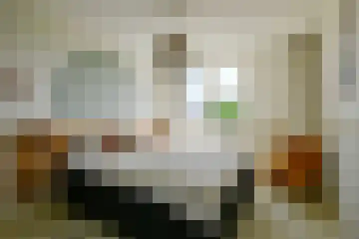 Zandkreek 41 Alkmaar thumbnail 22