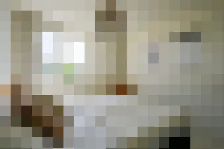 Zandkreek 41 Alkmaar thumbnail 23