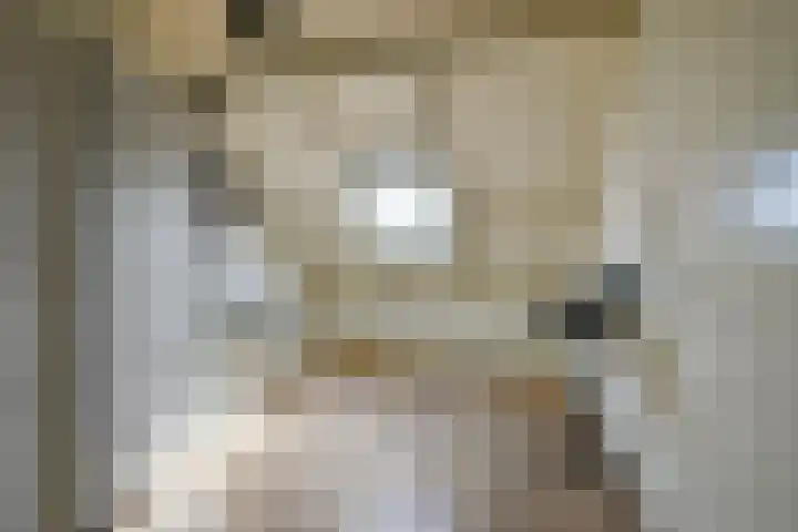 Zandkreek 41 Alkmaar thumbnail 32