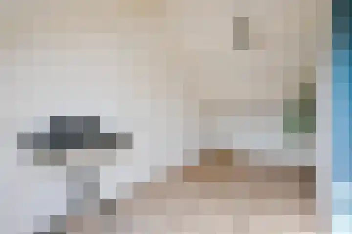Zandkreek 41 Alkmaar thumbnail 33