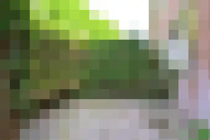Zandkreek 41 Alkmaar thumbnail 35