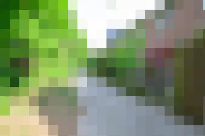 Zandkreek 41 Alkmaar thumbnail 36