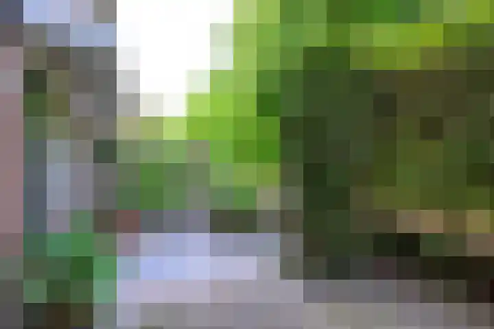 Zandkreek 41 Alkmaar thumbnail 6