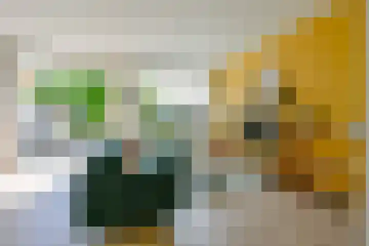 Zandkreek 41 Alkmaar thumbnail 8