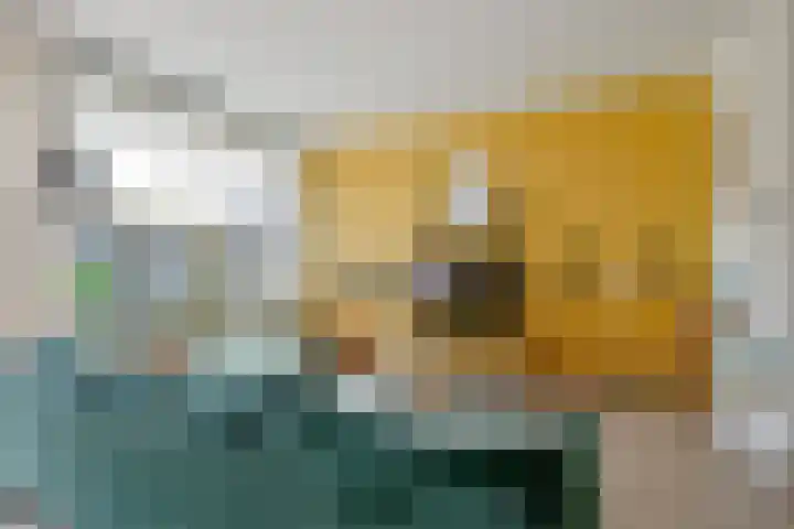 Zandkreek 41 Alkmaar thumbnail 9