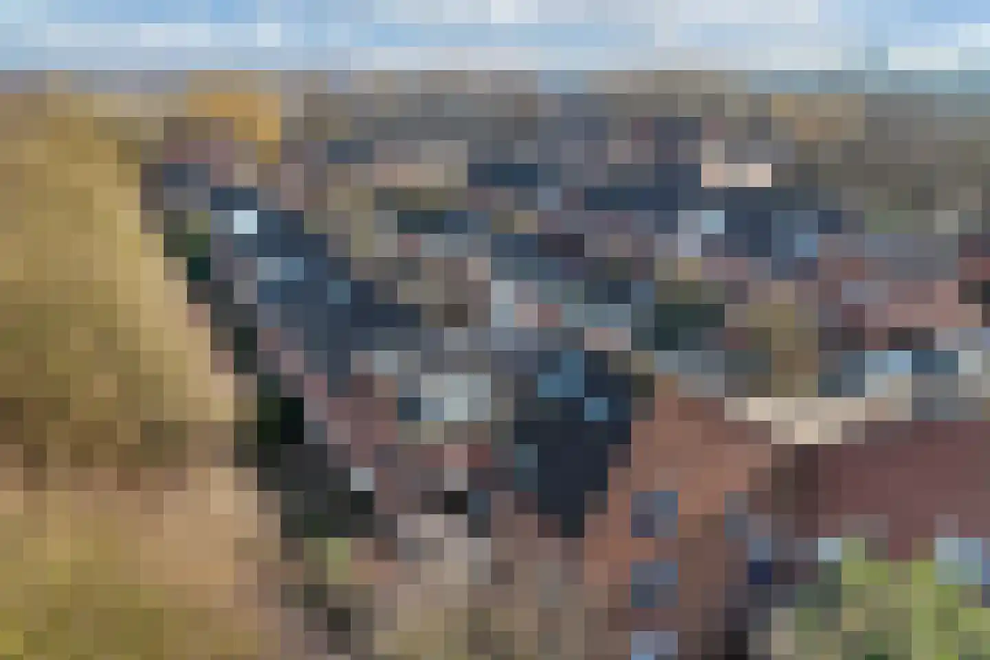 Zandkreek 42 Alkmaar thumbnail 37