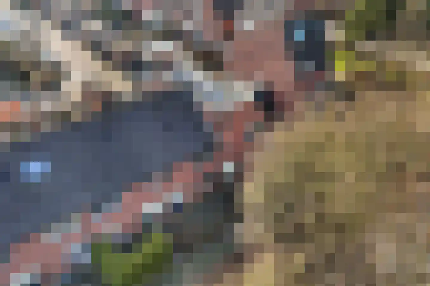 Zandkreek 42 Alkmaar thumbnail 38