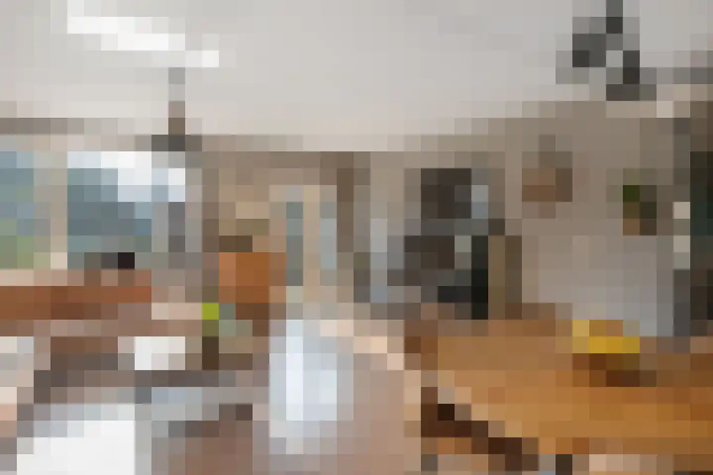 Zandkreek 42 Alkmaar thumbnail 5