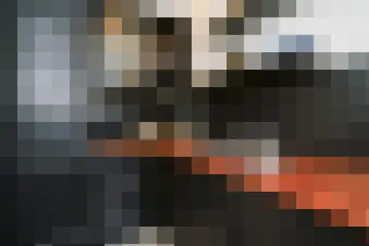 Zandkreek 42 Rotterdam thumbnail 13