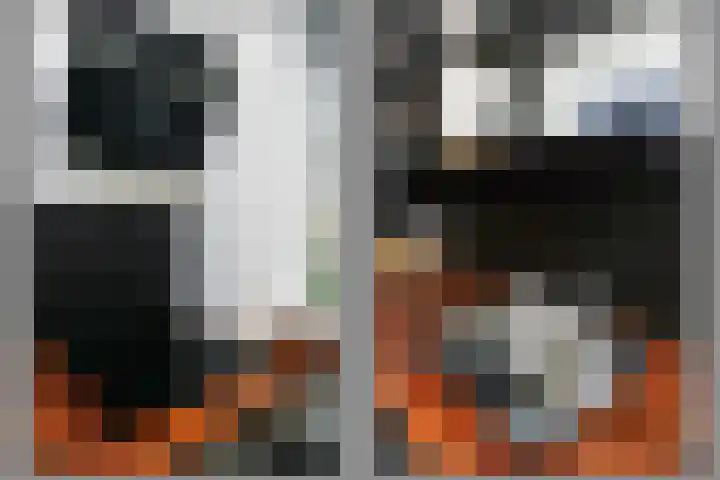 Zandkreek 42 Rotterdam thumbnail 15