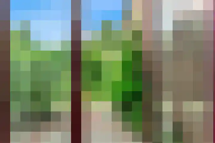 Zandkreek 56 Alkmaar thumbnail 19