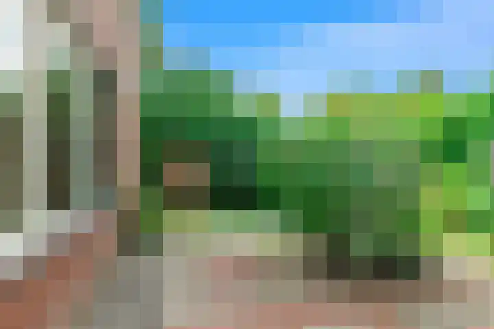 Zandkreek 56 Alkmaar thumbnail 21