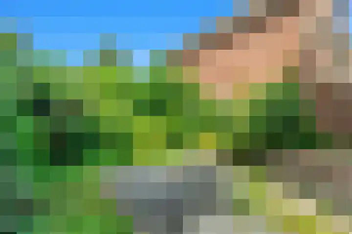 Zandkreek 56 Alkmaar thumbnail 22