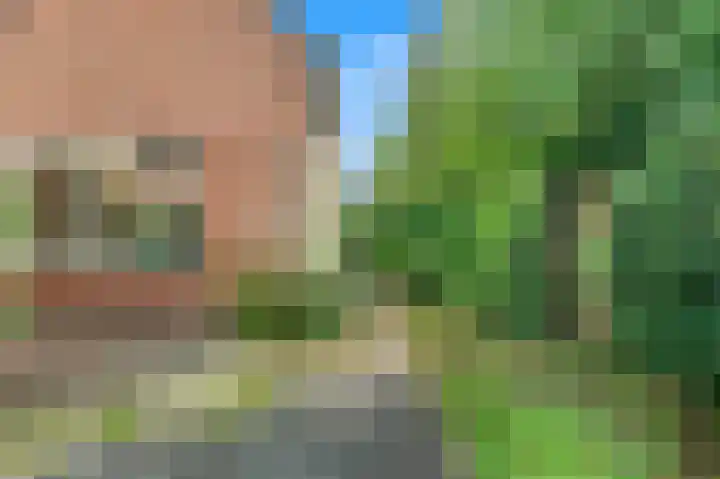 Zandkreek 56 Alkmaar thumbnail 23